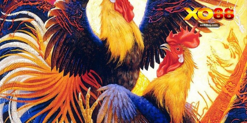 Gà Cựa Sắt 